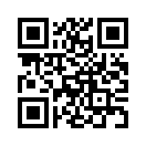 QR CODE 428