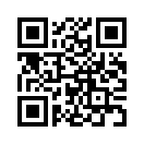 QR CODE 431