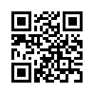 QR CODE 433
