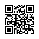 QR CODE 446