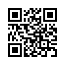QR CODE 460
