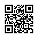 QR CODE 461