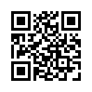 QR CODE 482