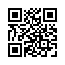 QR CODE 483