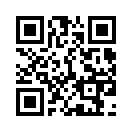 QR CODE 489
