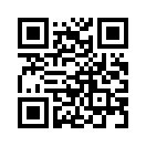 QR CODE 53