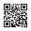 QR CODE 316