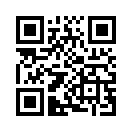 QR CODE 317