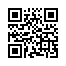QR CODE 344