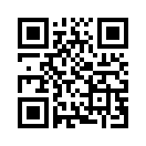 QR CODE 381
