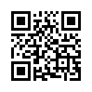 QR CODE 382