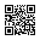 QR CODE 394