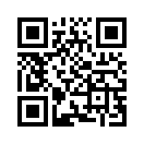 QR CODE 398