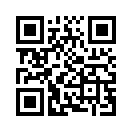 QR CODE 399