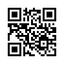 QR CODE 30