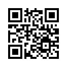 QR CODE 31