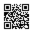 QR CODE 31