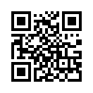 QR CODE 29