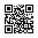 QR CODE 49