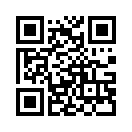 QR CODE 77