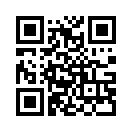 QR CODE 80