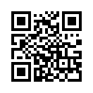 QR CODE 91