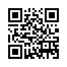 QR CODE 31