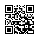 QR CODE 28