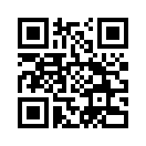 QR CODE 305