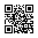 QR CODE 31