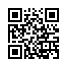 QR CODE 53