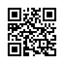 QR CODE 519