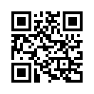 QR CODE 521