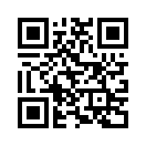 QR CODE 528