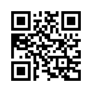 QR CODE 529