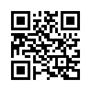 QR CODE 538