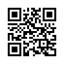 QR CODE 553