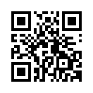 QR CODE 125