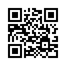 QR CODE 133
