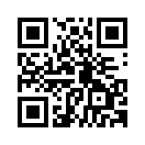 QR CODE 171