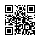 QR CODE 219