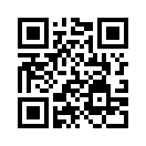 QR CODE 228