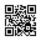 QR CODE 229
