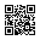 QR CODE 232