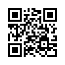 QR CODE 243