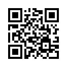 QR CODE 251