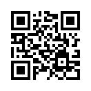 QR CODE 255