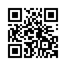 QR CODE 261