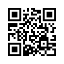 QR CODE 272