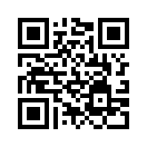 QR CODE 290